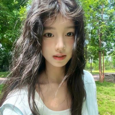 成凰录
